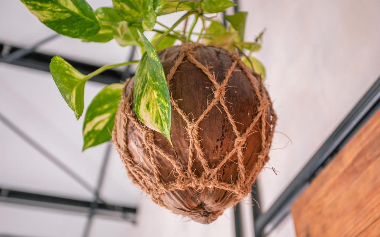 Tranquil Nest Vaavu 호텔 Rakeedhoo 외부 사진